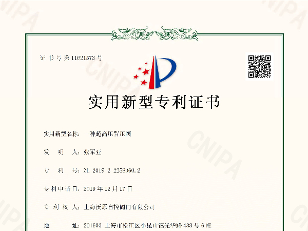 一种超高压91视频黄色版下载